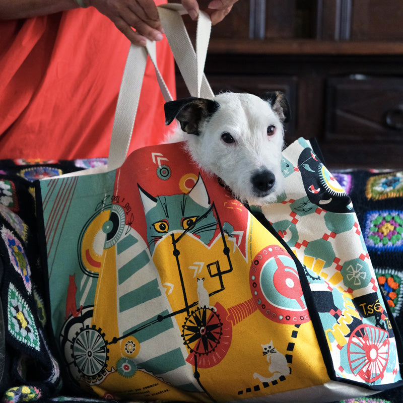 SAC CABAS Chat