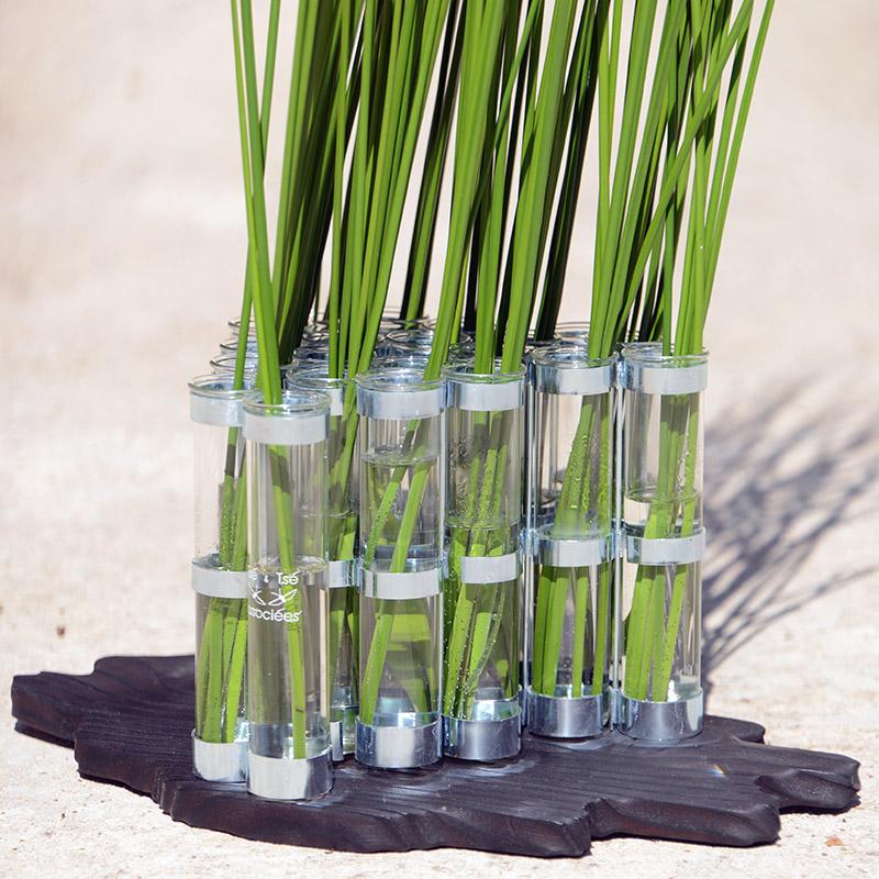 brins d'herbe dans vase tsé & tsé articulé - tsé tsé