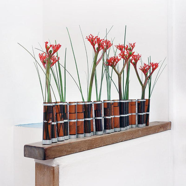 bouquet de jatropha dans un petit vase d'avril roux - tsé tsé